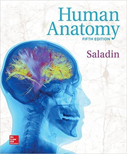 Human Anatomy (5th Edition) – Kenneth Saladin – eBook PDF