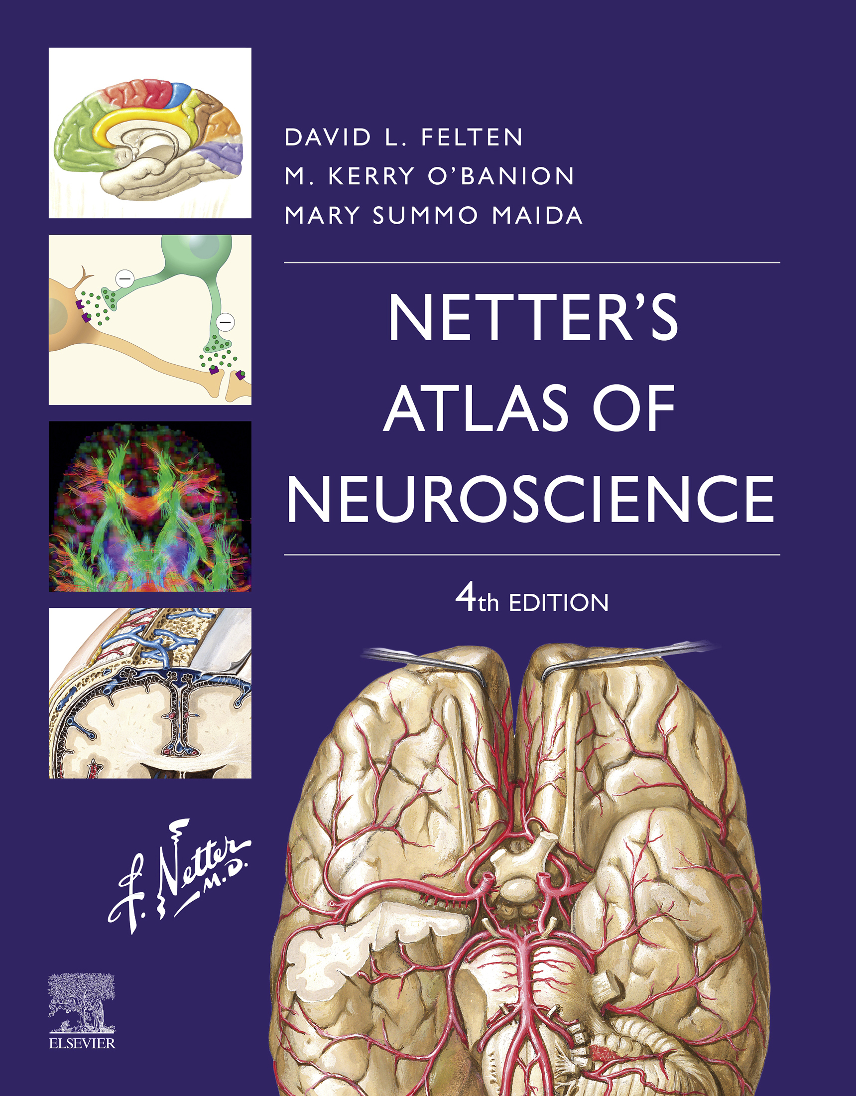 Netter’s Atlas of Neuroscience (4th Edition) – eBook PDF