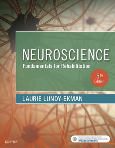 Neuroscience: Fundamentals for Rehabilitation (5th edition) – eBook PDF