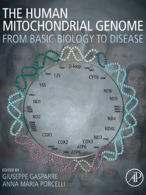 The Human Mitochondrial Genome: From Basic Biology to Disease – eBook